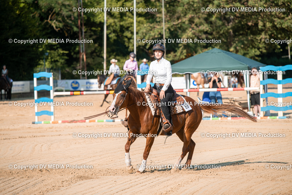 ZS2_8831 | dv-media-shop - Realisiert mit Pictrs.com