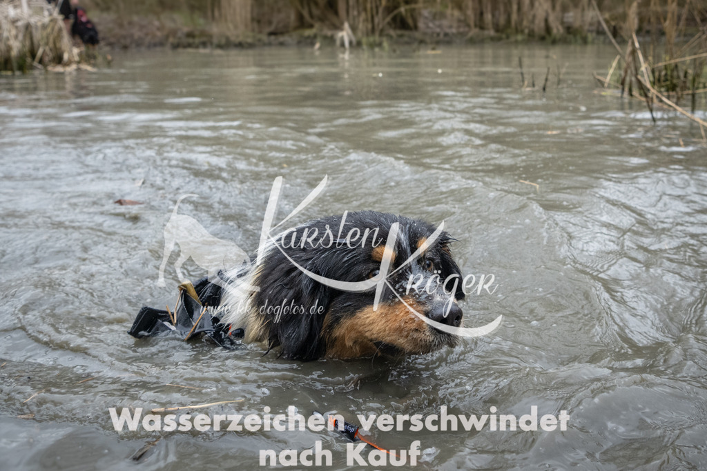 1102_ZZ95006 | kk-dogfotos