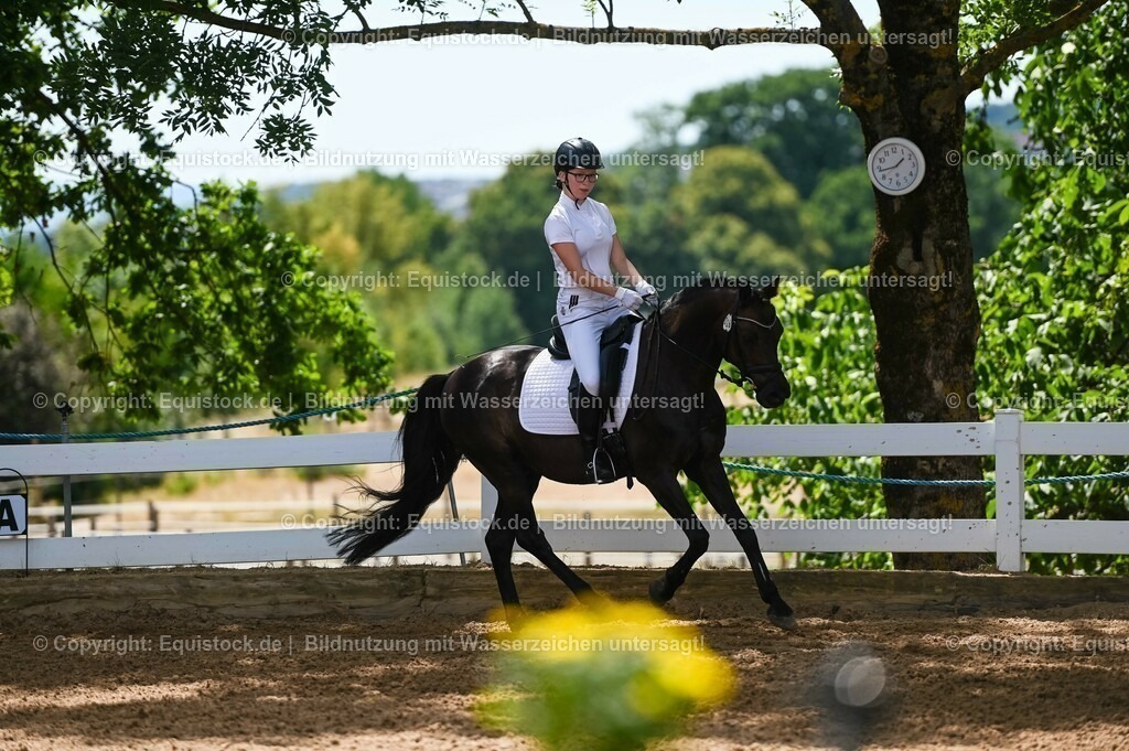 20230715_09_Dressur-WB_0231 | equistock