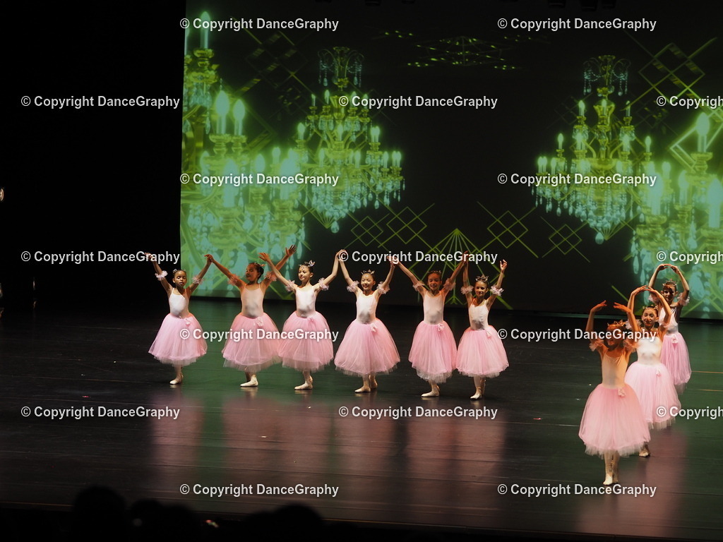 P7260416 | DanceGraphy - Realisiert mit Pictrs.com