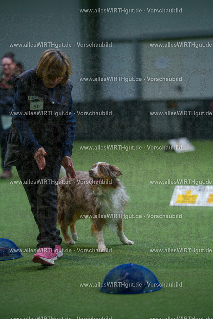 7R506363 | Professionelle Tierfotografie in Mönchengladbach von Daniel Wirth (allesWIRTHgut). Liebevolle & natürliche Bilder von Hunden & Katzen für unvergessliche Erinnerungen.