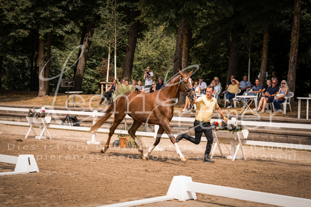 2. Fr00027 | Leoni Ertmer Photography - Realisiert mit Pictrs.com