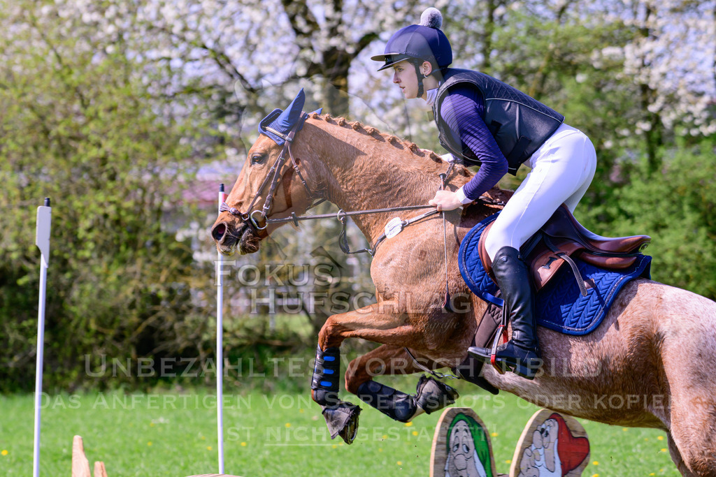 18042026-Gernlinden-01-1-0017 | Fokus Hufschlag Fotografie - Realisiert mit Pictrs.com