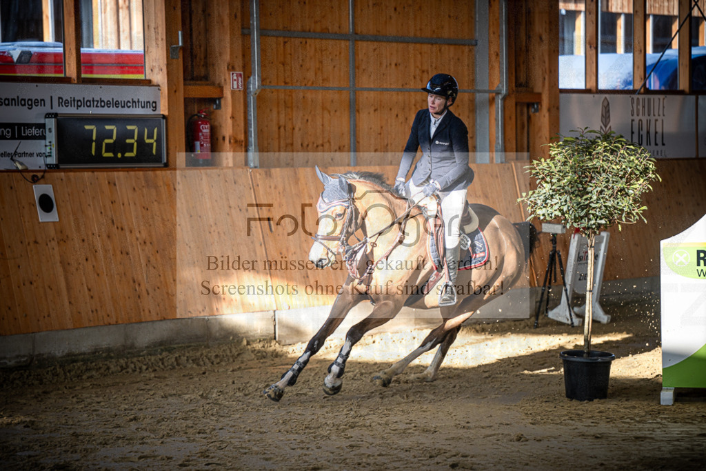 DOS_0395 | Entdecke hochwertige Reitturnierfotos von Foto Oger. Professionell, emotional und authentisch – jetzt Lieblingsmomente im Shop bestellen.Deutschlandweite Turnierfotografie. - Realisiert mit Pictrs.com
