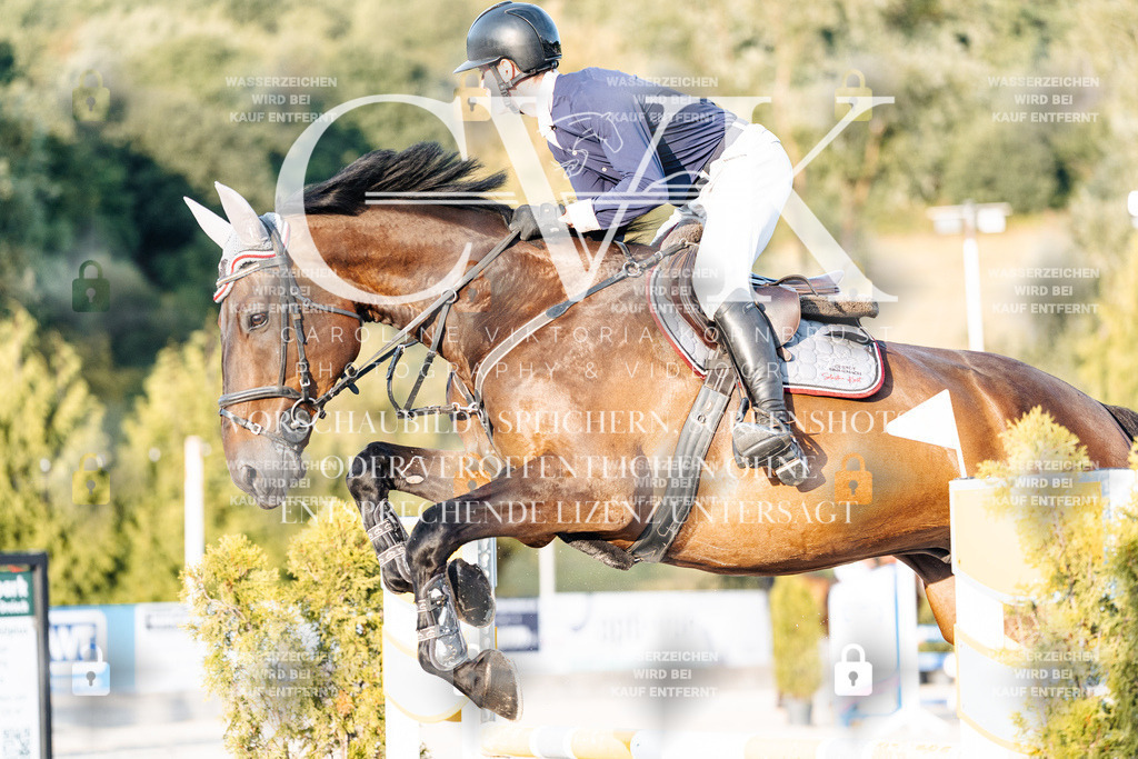 CK900986 | Turnierfotografie Pferdefotografie Trier Rheinland-Pfalz Pferdesport Reitsport Tierfotografie Sportfotografie Pferdevideo Pferdevideografie Equestrianvideography equestrianphotography  - Realisiert mit Pictrs.com