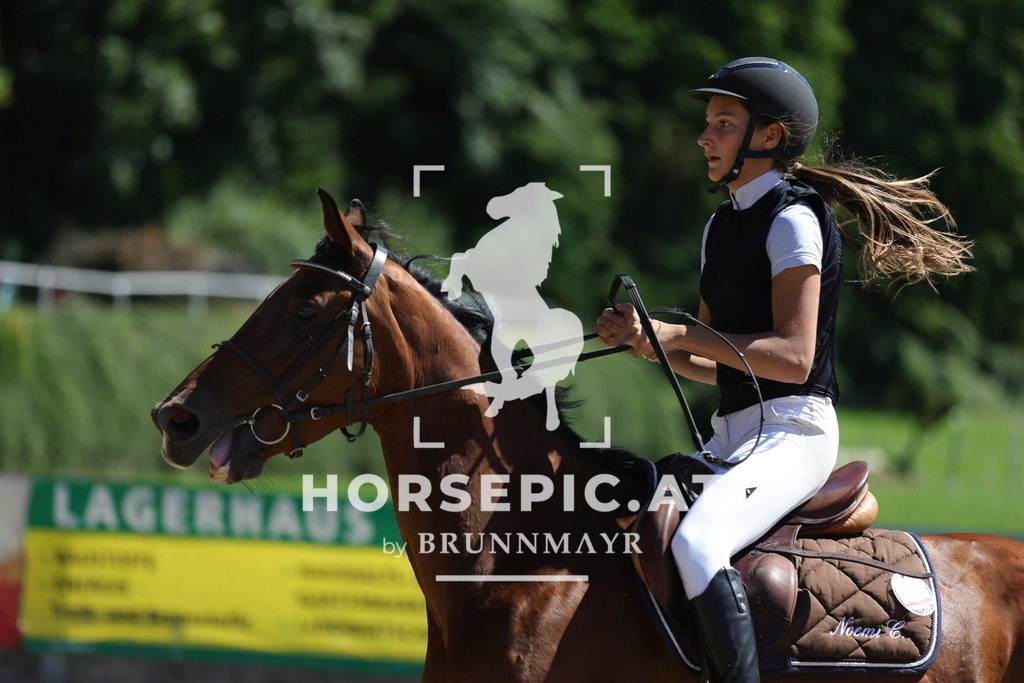 0P6A6352 | Willkommen bei Brunnmayr - Design & Fotografie – Ihrem Spezialisten für Reitturniere und Pferdeveranstaltungen in Oberösterreich, Salzburg und Bayern! Seit über 17 Jahren sind wir leidenschaftlich dabei.