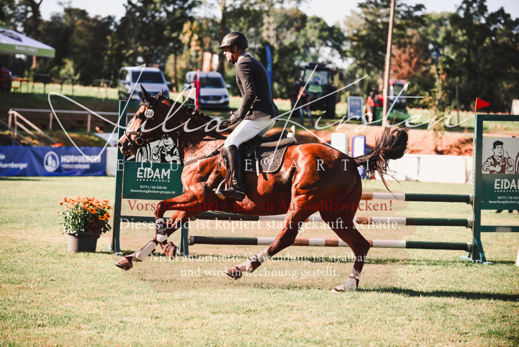 DSC_2212 | Pferde- und Turnierfotografie in Westsachsen. Pferdeportraits, Auftragszeichnungen und intuitive Kunst.
