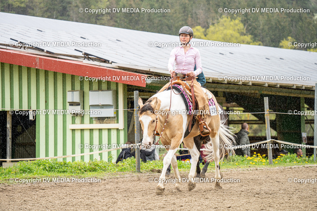 BAL00842 | dv-media-shop - Realisiert mit Pictrs.com