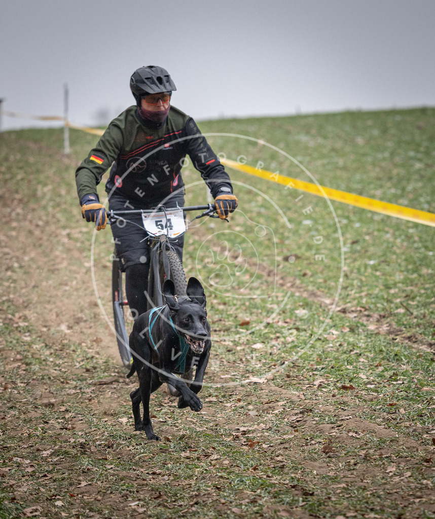 Pfotenfotografie_DV3A1139 | Hundefotografie, Tierfotograf, Pfotenfotografie, Fotoshooting Hund, Hunde Portrait, Hundesport, Hundeportraits, Heideshooting, Hunde, Sportfotograf, Hundefotograf, Turnierhundsport, THS,  - Realisiert mit Pictrs.com