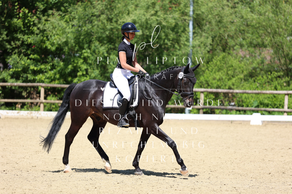 IMGS3109 | pl-fotografie