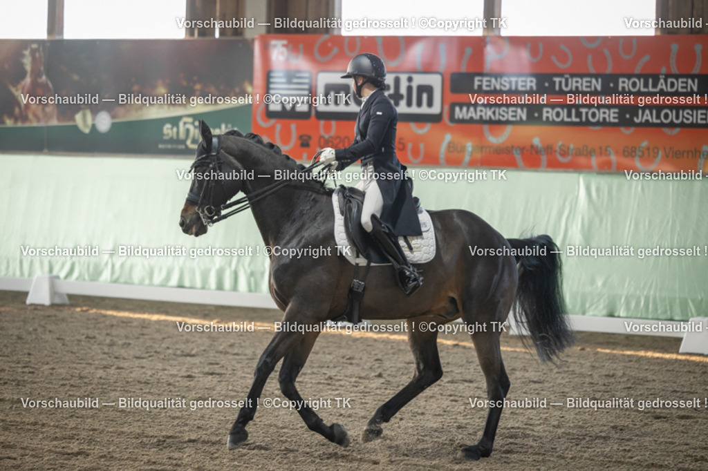 _D5A7725 | Emotionale Pferde- & People-Fotografie rund um Heidelberg, Leimen & Umgebung. Natürliche Fotos von Pferd, Mensch & Familie. Jetzt Termin sichern!