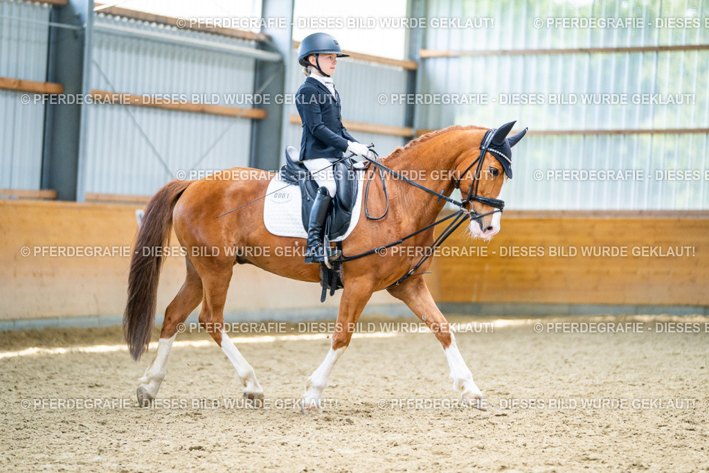 DSC04550 | Pferdegrafie