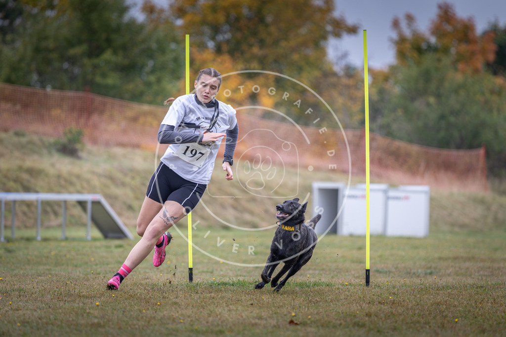 Pfotenfotografie_DV3A1100 | Hundefotografie, Tierfotograf, Pfotenfotografie, Fotoshooting Hund, Hunde Portrait, Hundesport, Hundeportraits, Heideshooting, Hunde, Sportfotograf, Hundefotograf, Turnierhundsport, THS,  - Realisiert mit Pictrs.com