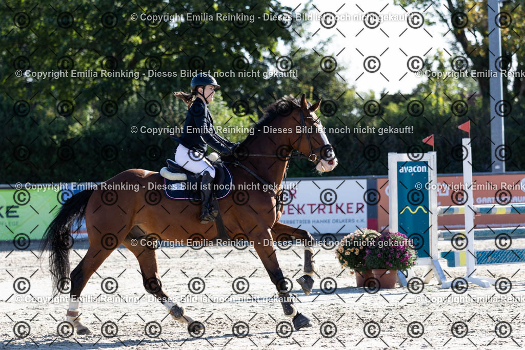 CL5A1208 | Emilia Reinking Fotografie - Realisiert mit Pictrs.com