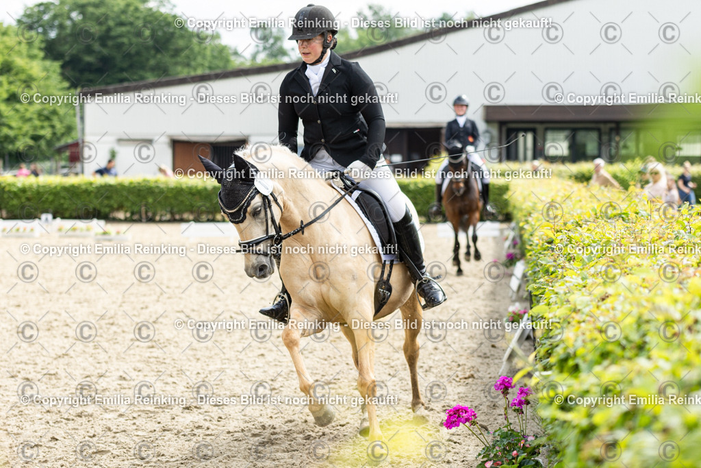 CL5A6162 | Emilia Reinking Fotografie - Realisiert mit Pictrs.com