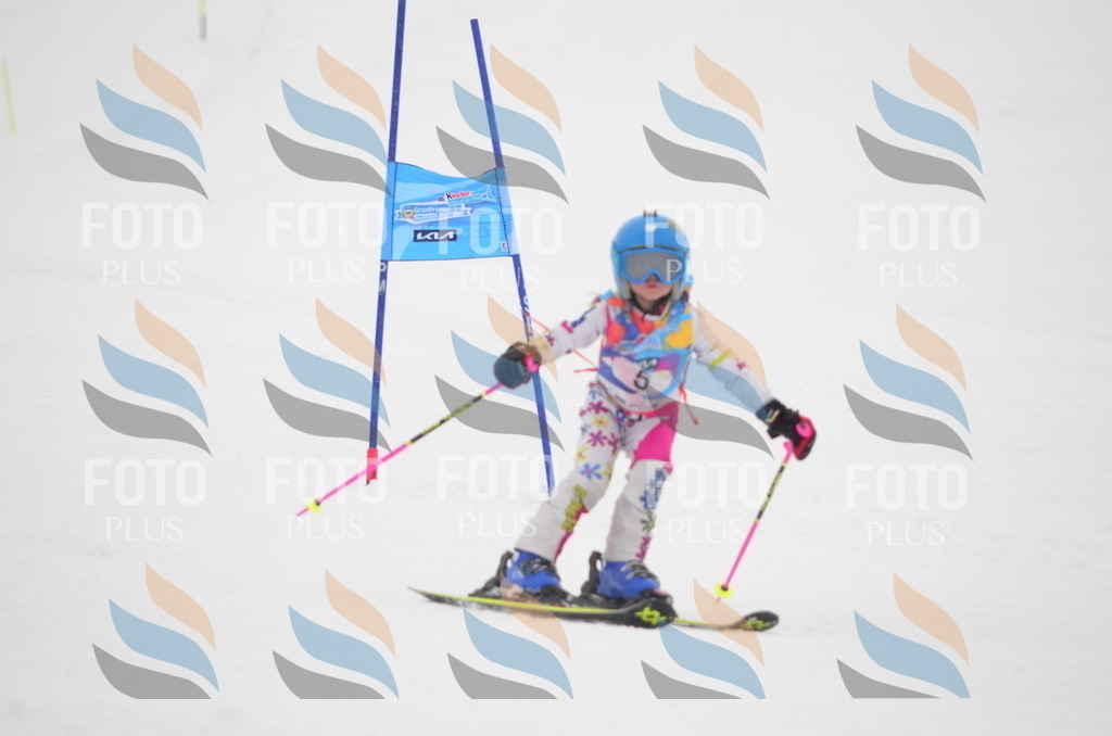 C0549 | holidayphoto