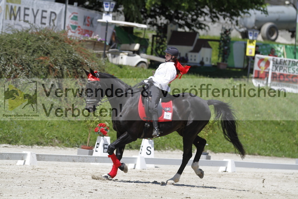 _MG_7451 | equestrian-live-com