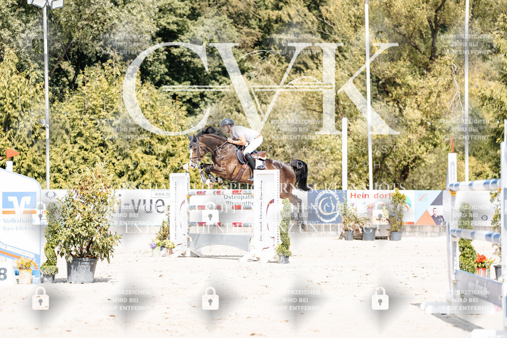 CK905192 | Turnierfotografie Pferdefotografie Trier Rheinland-Pfalz Pferdesport Reitsport Tierfotografie Sportfotografie Pferdevideo Pferdevideografie Equestrianvideography equestrianphotography  - Realisiert mit Pictrs.com