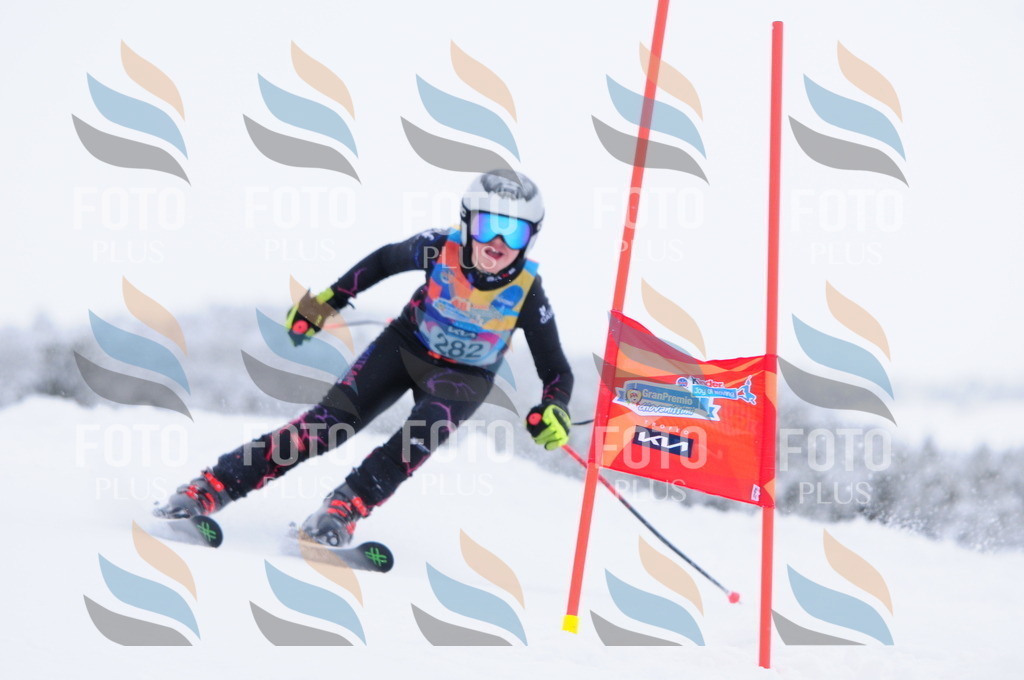 C2973 | holidayphoto