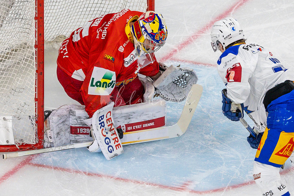 EHCB vs EVZ 20260227_WB-6852 | Sportbilder, Sportfotograf, Hochzeits- und Eventfotografin, Flugshows, Portraits und Tiershooting, Aviation, Downhill, Nationalleague, Swissleague, International