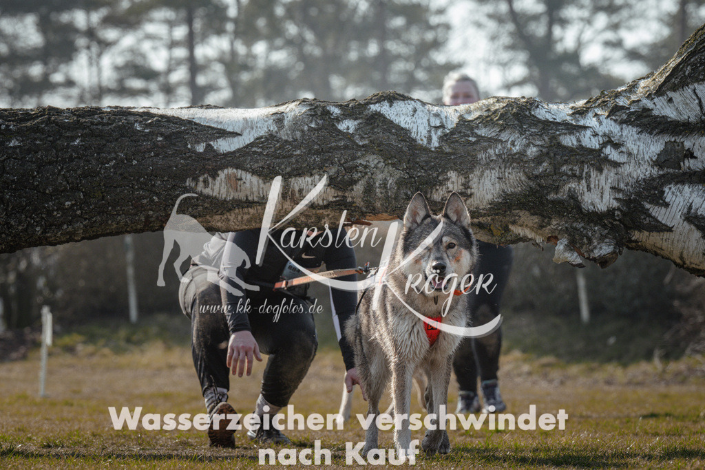 1118_ZZ95065 | kk-dogfotos