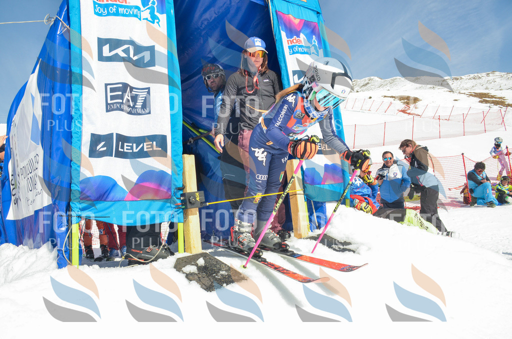 _ELE5666 | holidayphoto