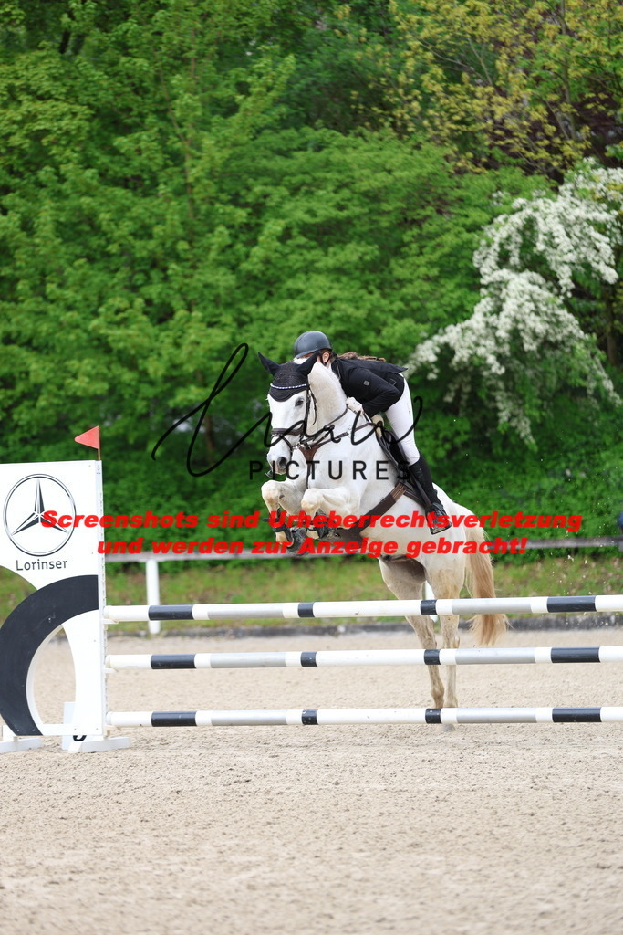 A40A1190 | lmwpictures - Realisiert mit Pictrs.com