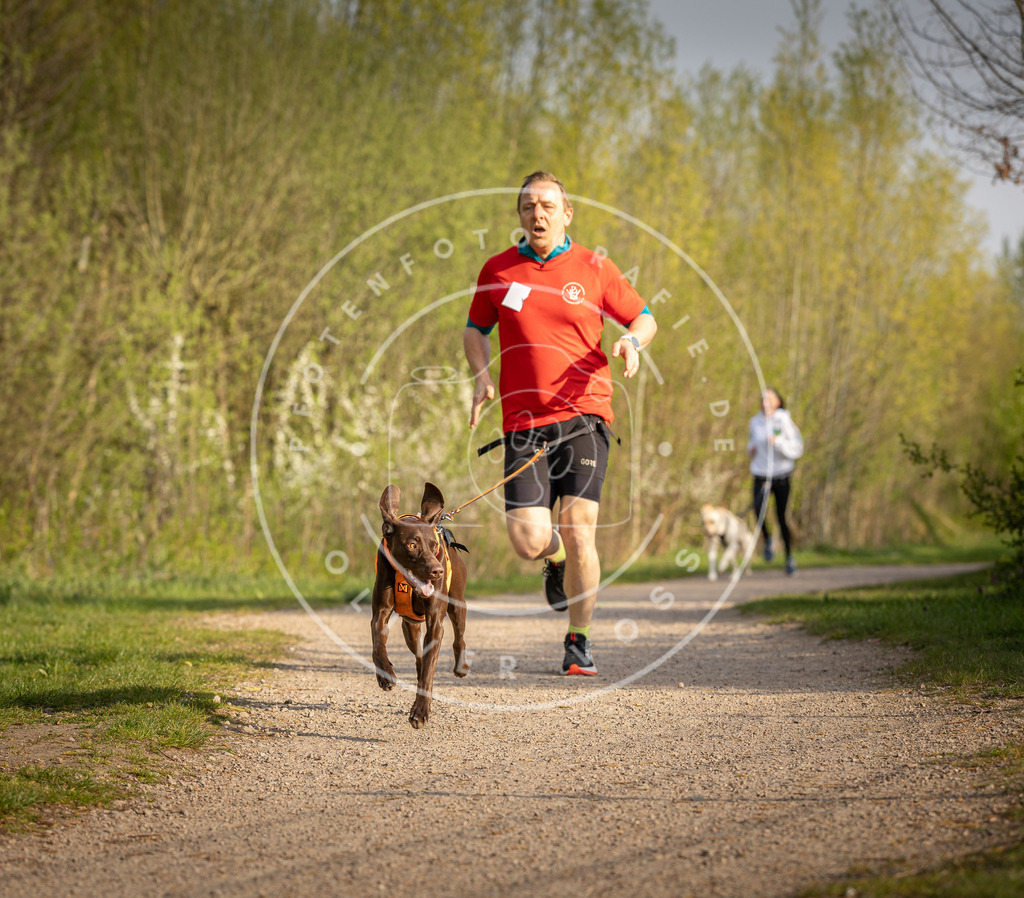 Pfotenfotografie_DV3A4538 | Hundefotografie, Tierfotograf, Pfotenfotografie, Fotoshooting Hund, Hunde Portrait, Hundesport, Hundeportraits, Heideshooting, Hunde, Sportfotograf, Hundefotograf, Turnierhundsport, THS,  - Realisiert mit Pictrs.com