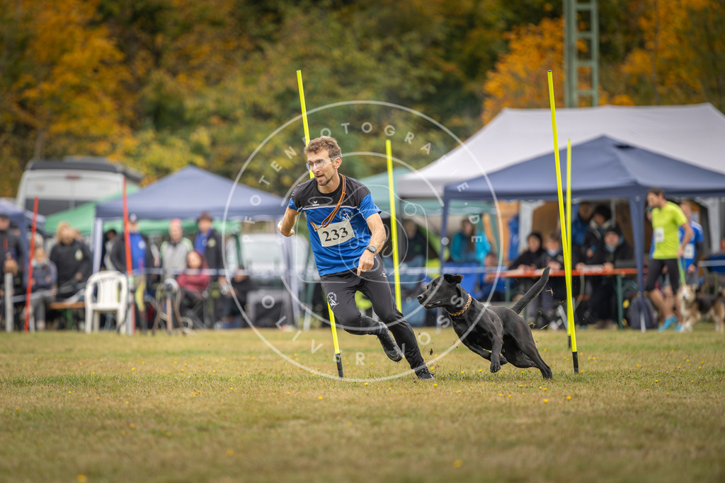 Pfotenfotografie_DV3A5139 | Hundefotografie, Tierfotograf, Pfotenfotografie, Fotoshooting Hund, Hunde Portrait, Hundesport, Hundeportraits, Heideshooting, Hunde, Sportfotograf, Hundefotograf, Turnierhundsport, THS,  - Realisiert mit Pictrs.com