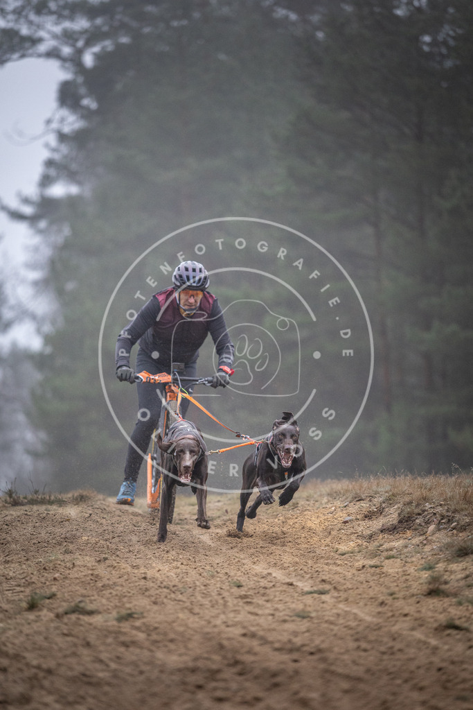 Pfotenfotografie_DV3A0750 | Hundefotografie, Tierfotograf, Pfotenfotografie, Fotoshooting Hund, Hunde Portrait, Hundesport, Hundeportraits, Heideshooting, Hunde, Sportfotograf, Hundefotograf, Turnierhundsport, THS,  - Realisiert mit Pictrs.com