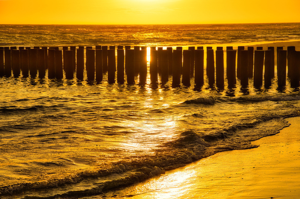 Golden | Art by Birgit Fotografie - Realisiert mit Pictrs.com