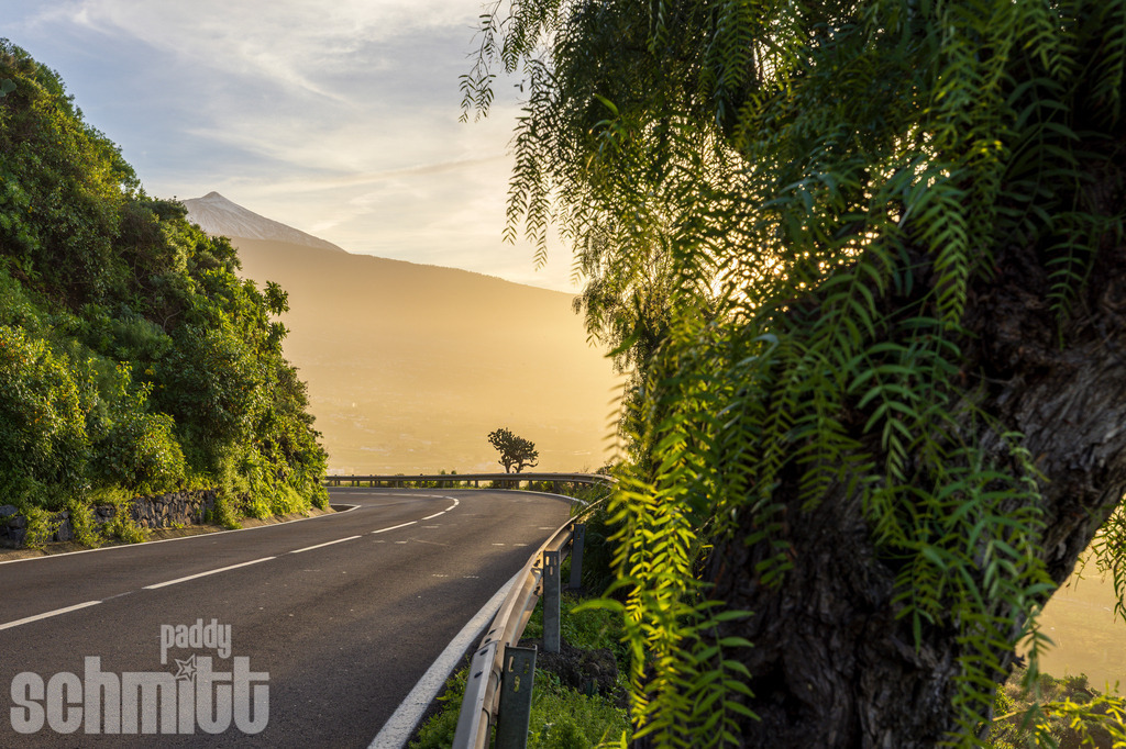 PS-Teneriffa-2026-03 | Entdecke die größte Bildgalerie der Region mit Fotografien aus dem Allgäu, der Bodenseeregion, Oberschwaben, dem Donautal und der Schwäbischen Alb. Landschaften, Luftaufnahmen und Reisefotografie als Wandbild und Fotokunst. - Realisiert mit Pictrs.com