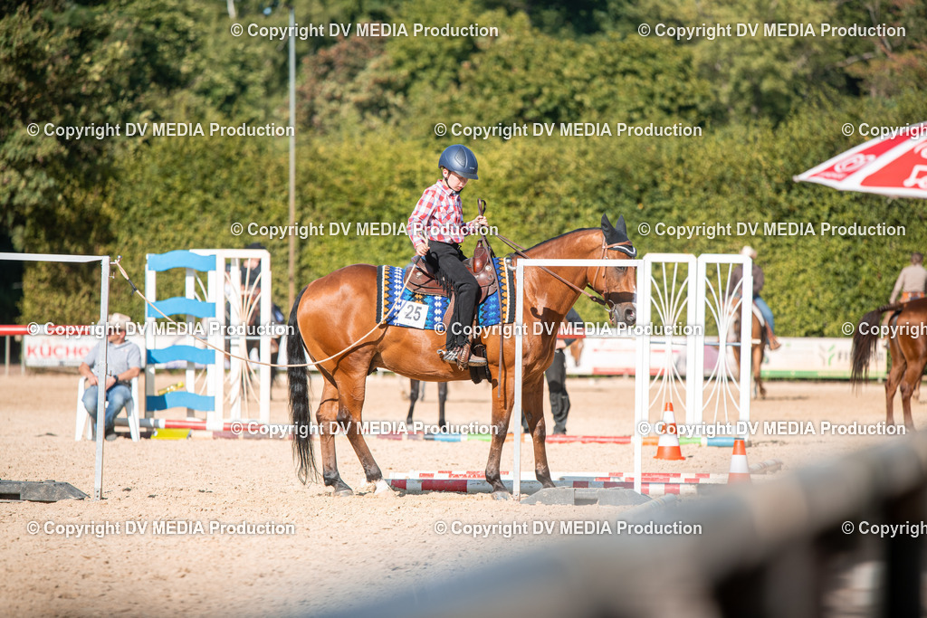 EWP_7007 | dv-media-shop - Realisiert mit Pictrs.com