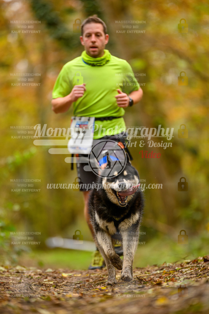MompixPhotography_Bischwiller24_SA_Canicross-105 | PayLife