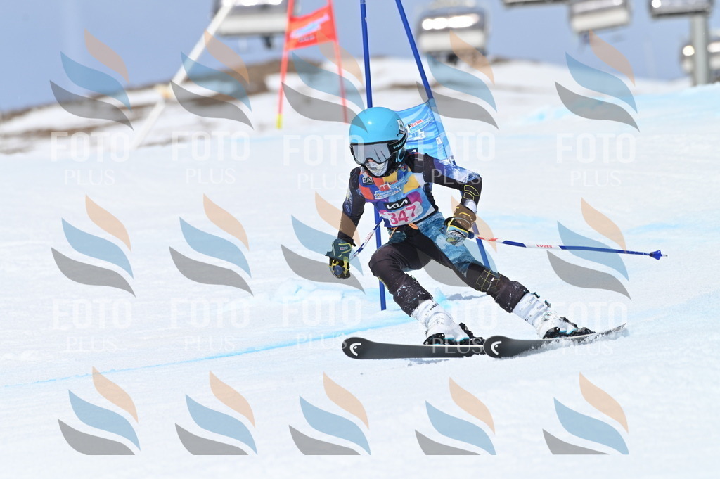 BGV_3583 | holidayphoto