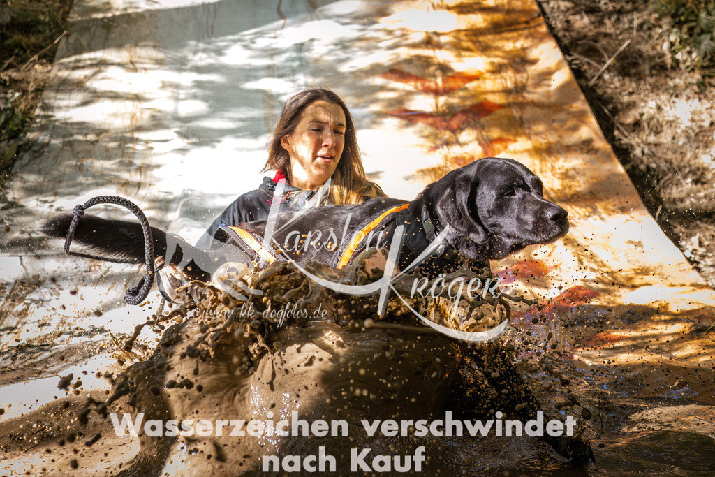 1336_ZZ91935 | kk-dogfotos