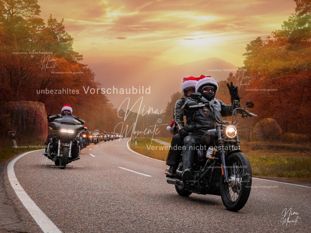 _16A2885-12 | Einzigartige Fotos von Hunden & Menschen –Actionfotos, Portraits, Vereinsaufnahmen & Paarshootings – authentisch, lebendig & mit Herz.