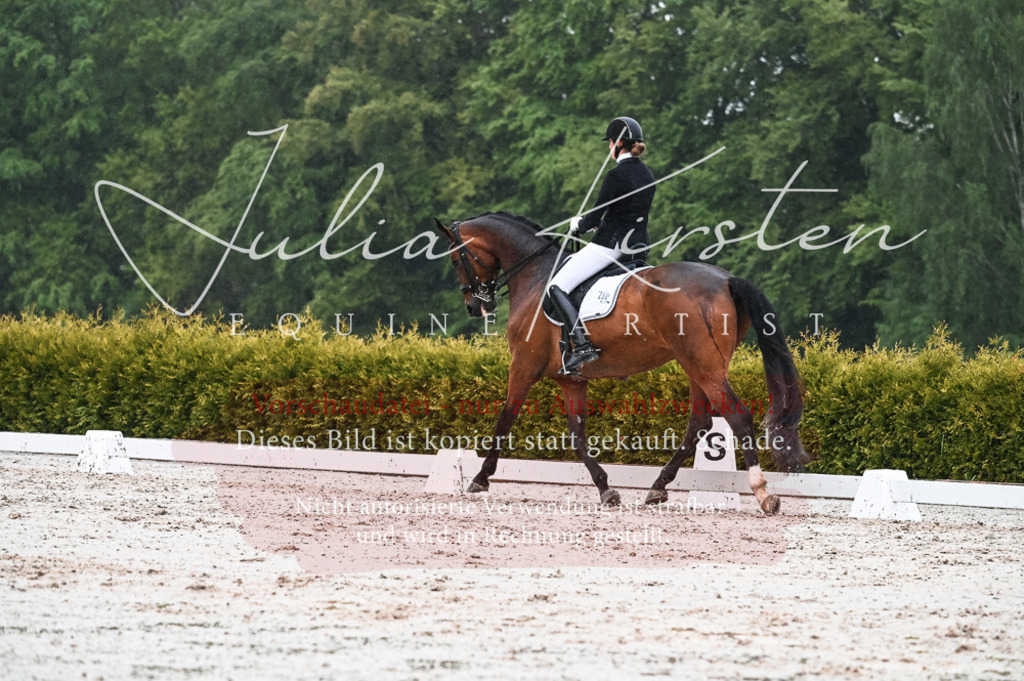 DSC_4562 | Pferde- und Turnierfotografie in Westsachsen. Pferdeportraits, Auftragszeichnungen und intuitive Kunst.