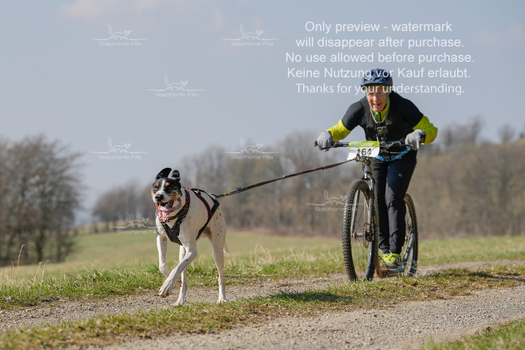 Scooter_Lang-140 | stephaniefillaphotographie - Realisiert mit Pictrs.com