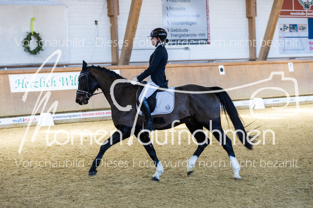 Sth-LPO25-DrR-L-150 | MomenTaufnahmen Pferdesportfotos