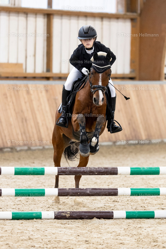 TH_17 Neele Dauth (GER)_ Cartini  _32453 | 17 Neele Dauth (GER), Cartini &nbsp; beim Reitturnier Guxhagen-Dörnhagen 2025 am 12.10.25 in Dörnhagen, Reit- u. Fahrverein
