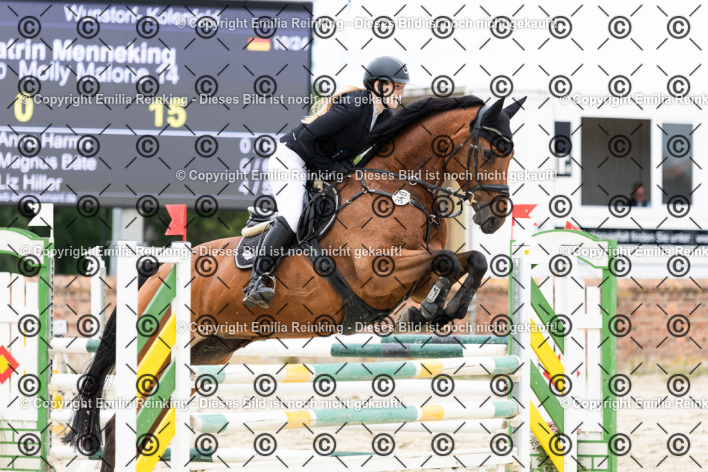 CL5A5892 | Emilia Reinking Fotografie - Realisiert mit Pictrs.com