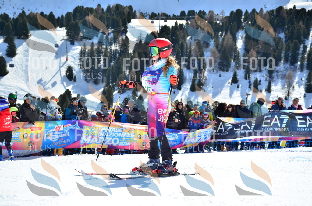 SLV_6320 | holidayphoto