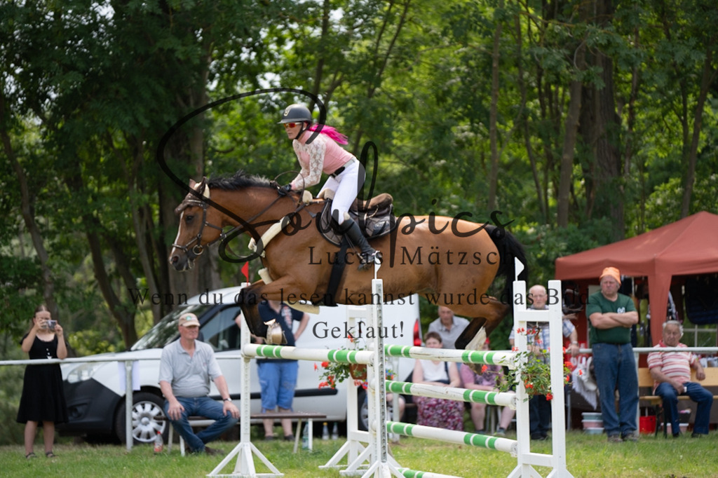 A7V07476 | Pferdefotograf