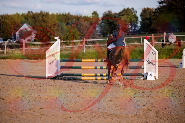 2026_10_03_Siefer-Hof_171216_Z81_09338072 | Professionelle Reitsport-, Turnier- und Eventfotografie von Robert Broda. Galerien mit ausgewählten und bearbeiteten Bildern direkt online ansehen und bestellen.