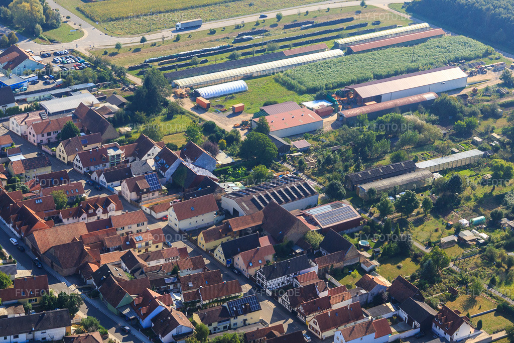 Luftbild: Landwirtschaftliche Hallen am Ettenbaum in Kandel im Bundesland Rheinland-Pfalz in Deutschland. Foto: IMG_094928.jpg vom 24.09.2016 durch Werner Riehm/FLY-FOTO.de