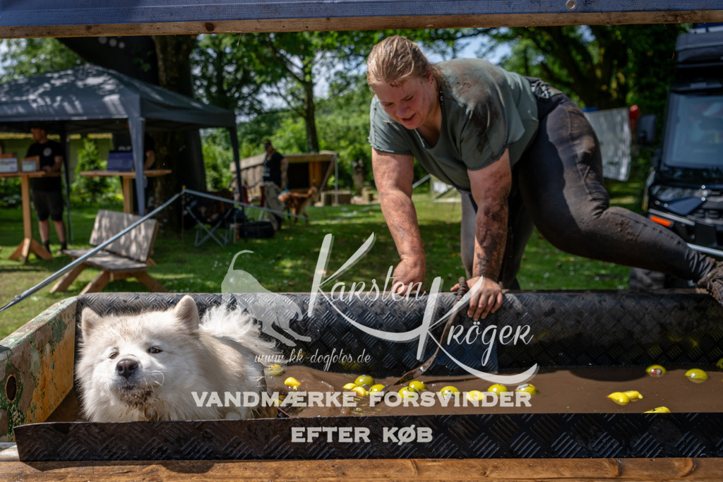 1148_ZZ94948 | kk-dogfotos