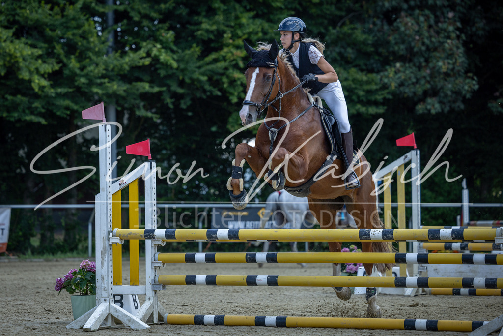 20260704-_3LI9426 | Tierfotografie Pferde, Hunde, Katzen, Haustiere.
Turnierfotografie Reitturniere, Reiten, Springreiten, Dressur in Hanau, dem Main-Kinzig-Kreis und dem Rhein-Main- Gebiet um Frankfurt