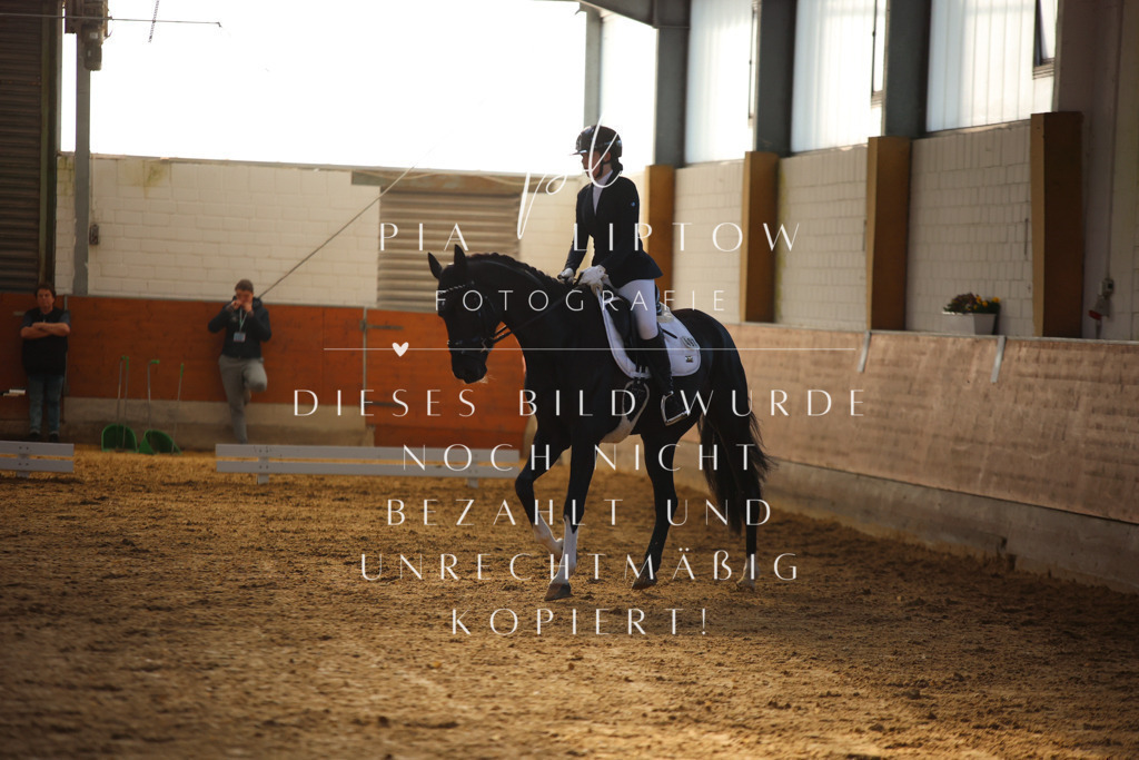 IMGT6193 | pl-fotografie