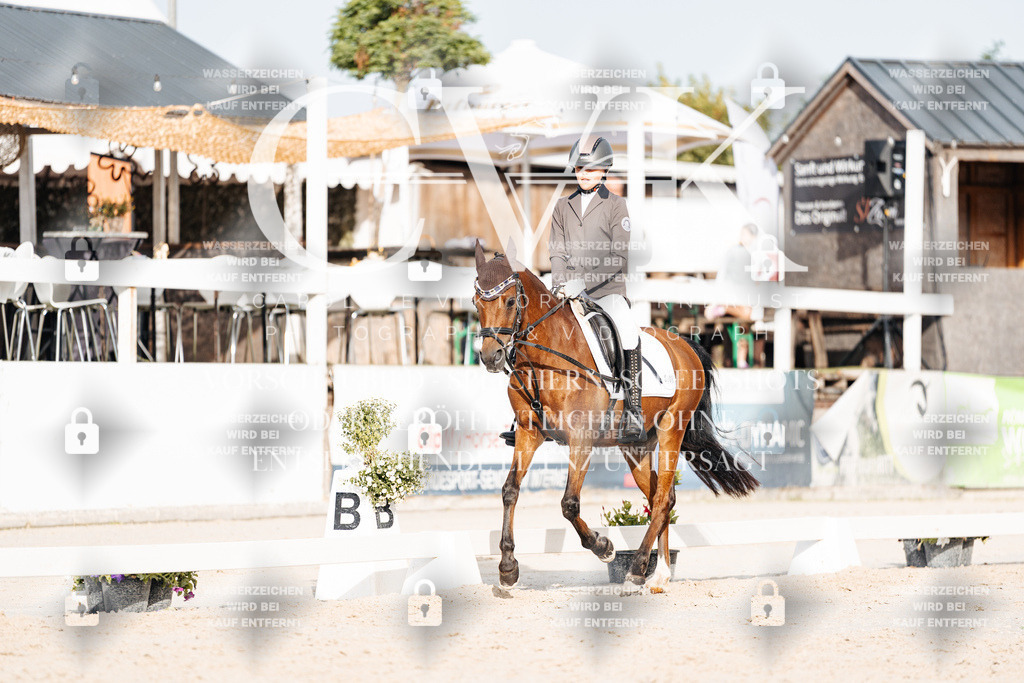 CK904091 | Turnierfotografie Pferdefotografie Trier Rheinland-Pfalz Pferdesport Reitsport Tierfotografie Sportfotografie Pferdevideo Pferdevideografie Equestrianvideography equestrianphotography  - Realisiert mit Pictrs.com